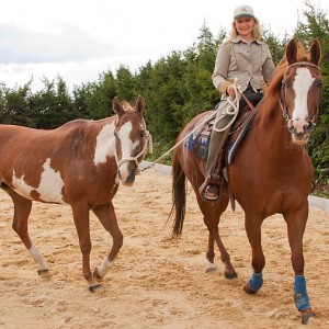 Christine Mey auf einem Pferd